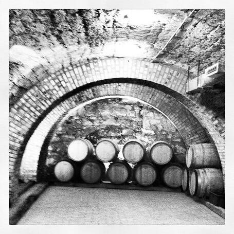 Cellar_Barrels
