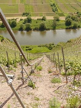 Mosel Vineyards